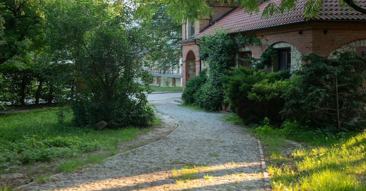 Obsadź ścieżkę marzeń: rośliny obrzeżowe, które pachną, przyciągają motyle i są mało wymagające