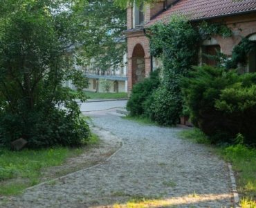 Obsadź ścieżkę marzeń: rośliny obrzeżowe, które pachną, przyciągają motyle i są mało wymagające