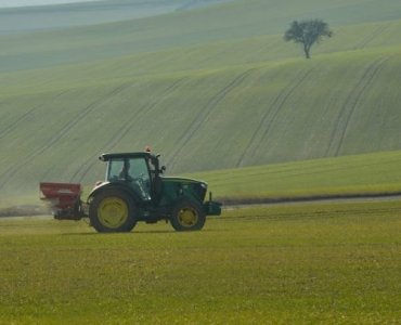 Zielony skarbiec gleby: kiedy siać poplony i które nawozy zielone wybrać, by mieć żyzną ziemię bez chemii